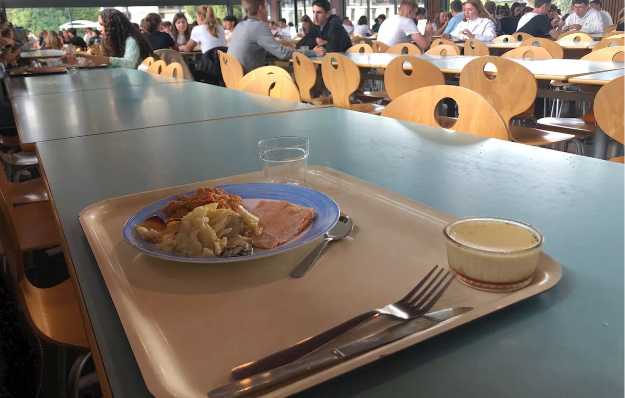 Le repas à un euro pour tous les étudiants ? Le député LFI Louis Boyard lance une pétition