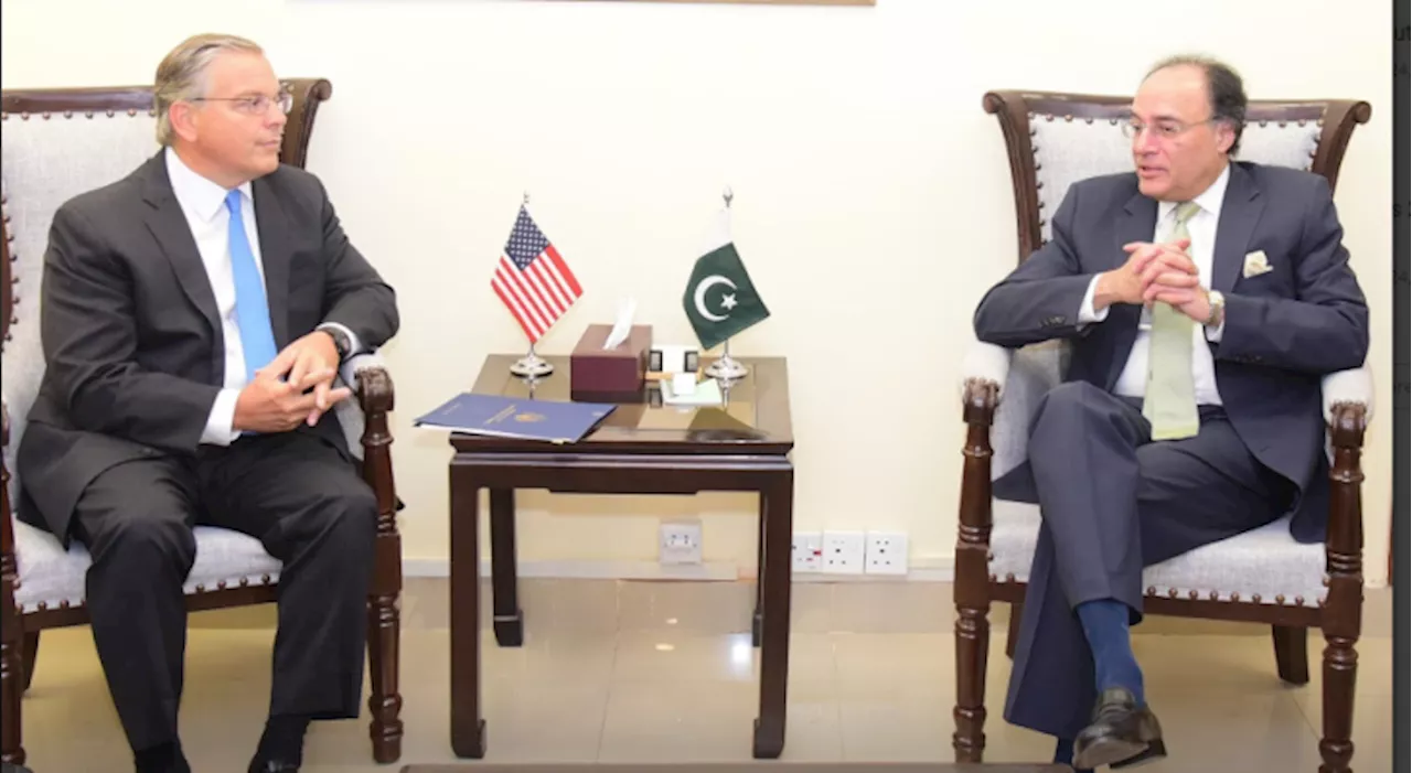 Pakistan committed to reform agenda: Finance Minister tells US envoy