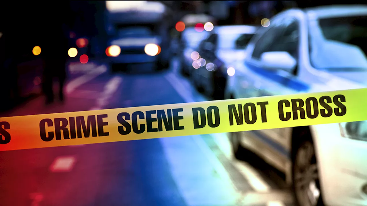 Downers Grove man sentenced after stabbing mother to death in living room