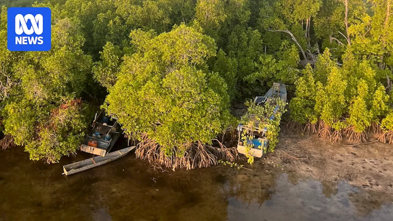 Calls for more patrols of Australia's northern waters after Indigenous rangers detect increase in foreign fishing vessels off Arnhem Land