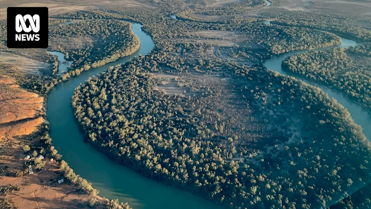 Lower Murray River and Macquarie Marshes may be designated 'critically endangered'. Here's what that means