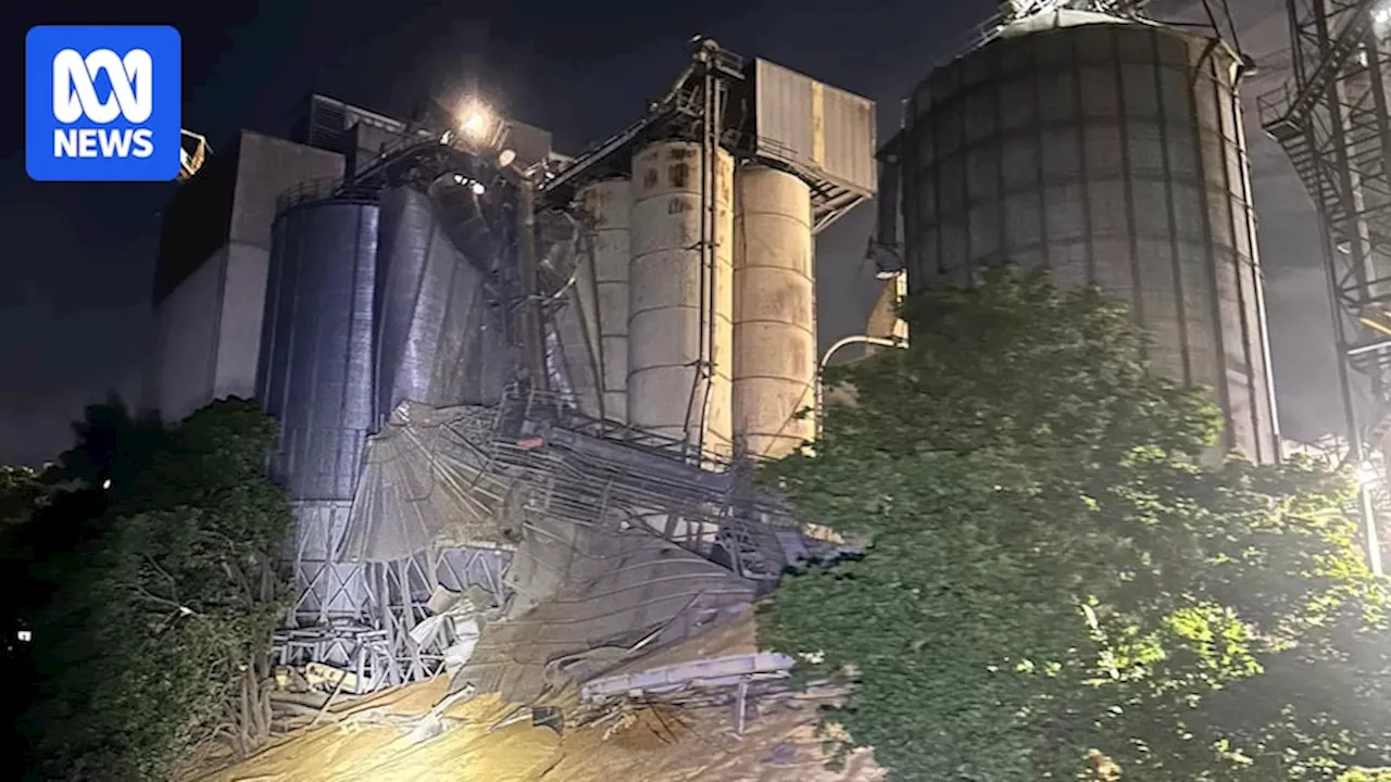 Silos collapse at Manildra's Bomaderry plant, spilling 2,500 tonnes of wheat near Shoalhaven River