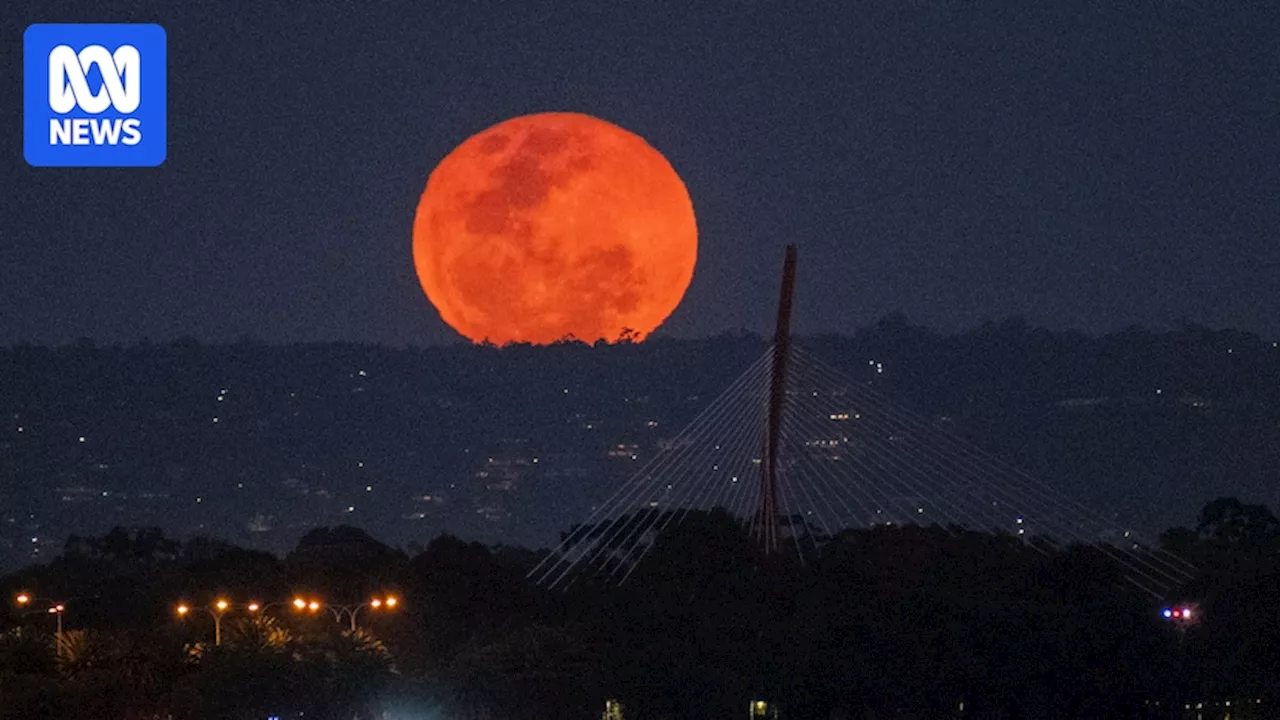 The brightest supermoon of the year will rise tonight. Here's how to see the hunter's moon