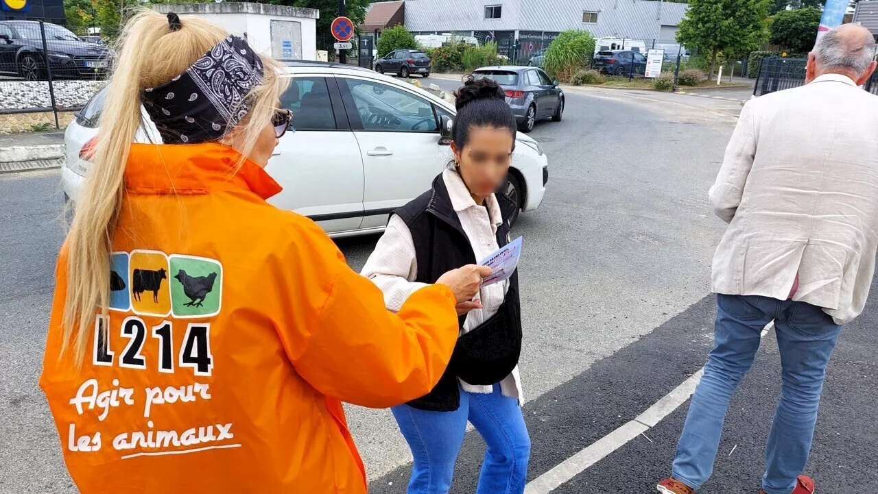 À Cherbourg, l’association de défense des animaux L214 organise une mobilisation devant Auchan