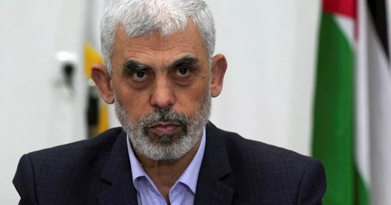 Israel says it is investigating whether it killed Hamas leader Sinwar in Gaza