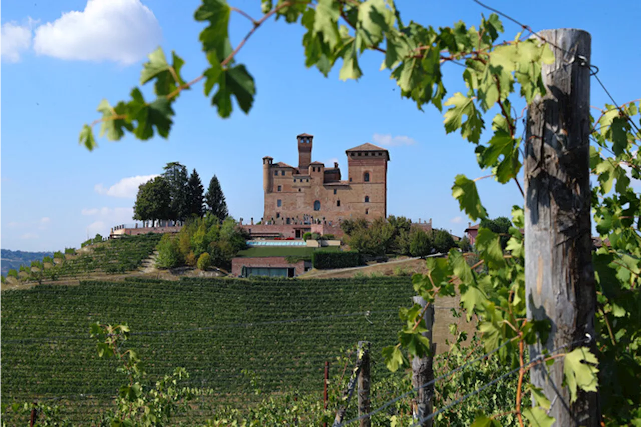 'Barolo en primeur', il 25 torna l'asta benefica internazionale