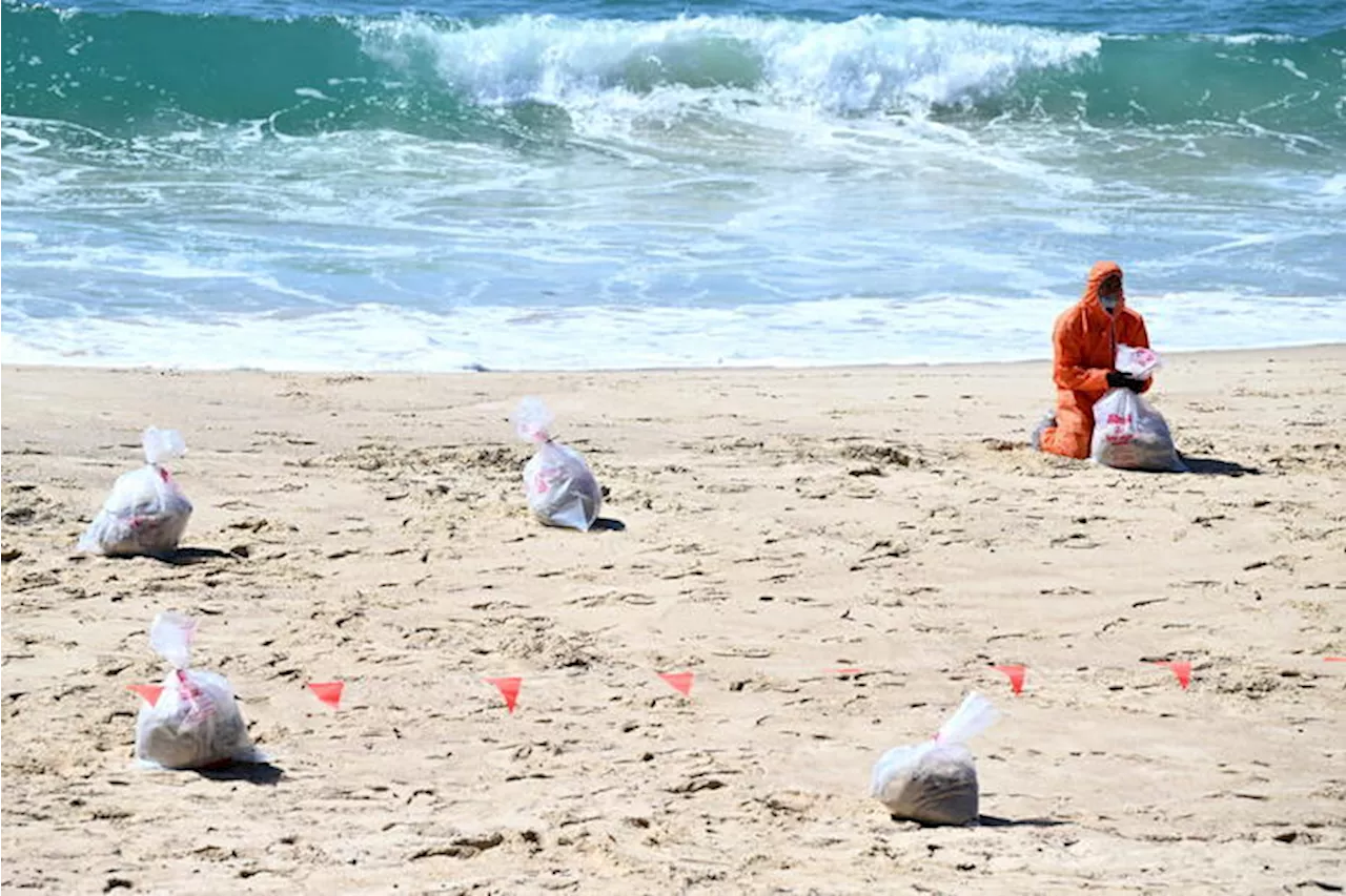 Palle di catrame si riversano su spiagge di Sydney