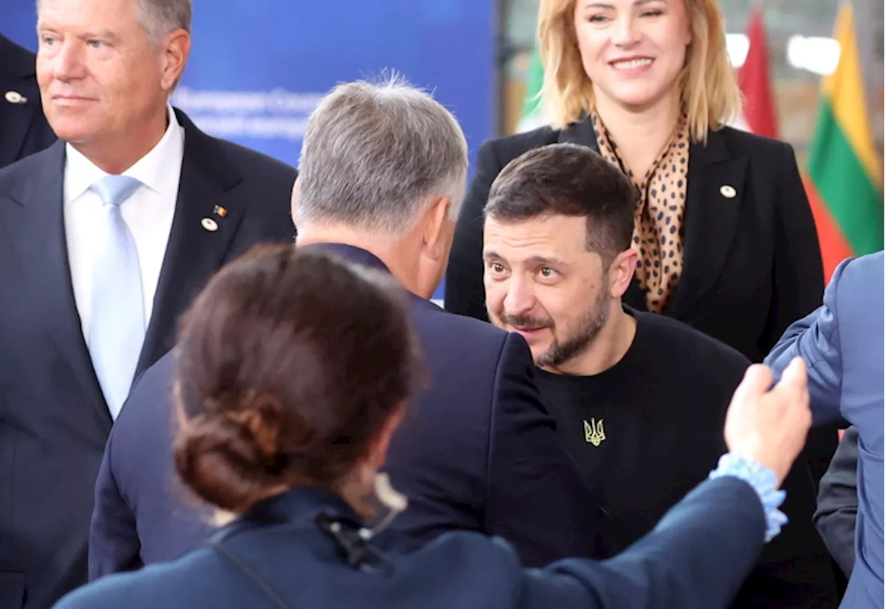 Zelensky a Ue e Nato: 'Aiutateci a sconfiggere Putin'