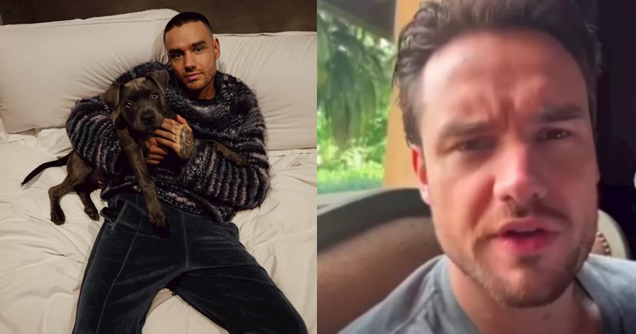 Liam Payne posted on social media hours before falling to his death