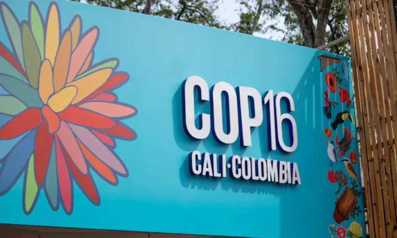 Colombia crea aplicación para seguir desde los celulares la COP16 de biodiversidad