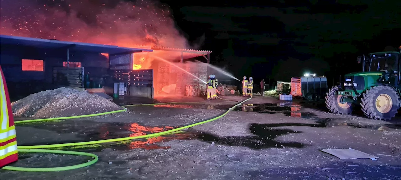 Feuer auf Grevenbroicher Schaf-Farm - Feuerwehr rettet hunderte Tiere - rund achtstündiger Einsatz der Wehr