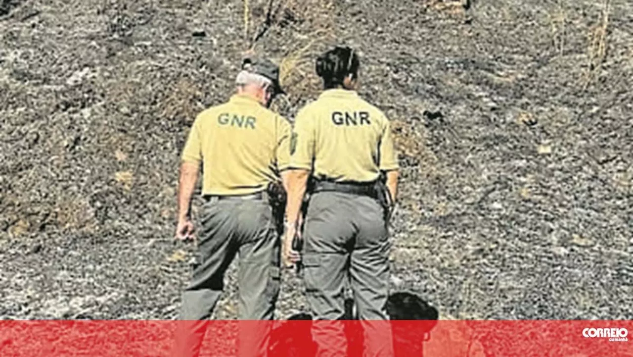 MAI determina que Comando-Geral da GNR integre todos os guardas-florestais na carreira de militar