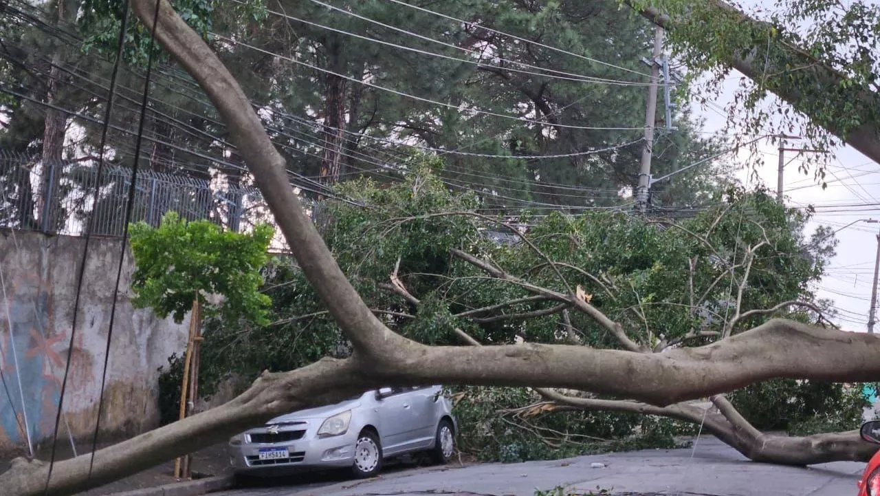 Novas chuvas e ventos fortes ameaçam São Paulo após temporal devastador