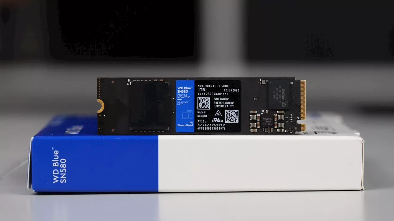Blue Screen unter Win 11 24H2: Western Digital veröffentlicht Firmware­­-Updates für SSDs