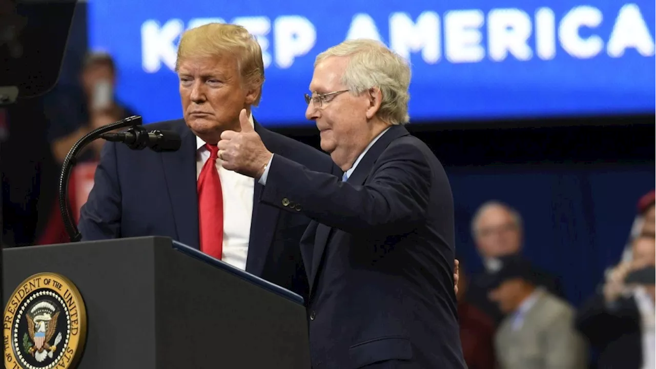 McConnell called Trump 'stupid' and 'despicable' in private after the 2020 election, a new book says