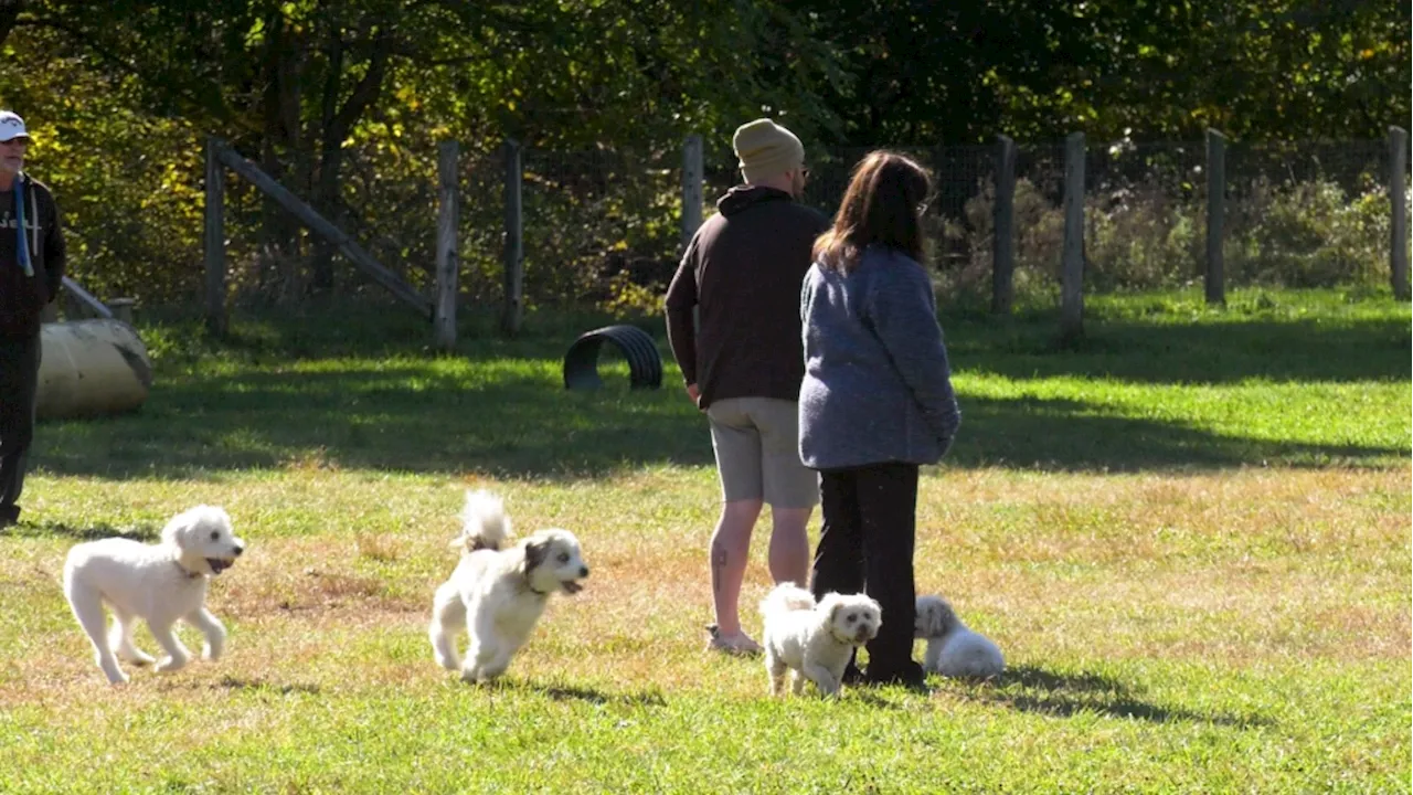 North Grenville, Ont. interested in creating cemetery for pets