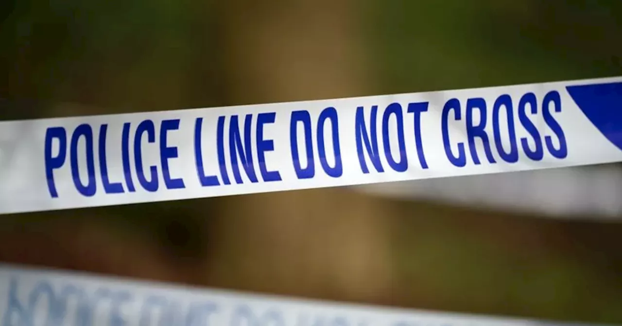 Couple found dead in home with gunshot wounds to the head, inquest hears