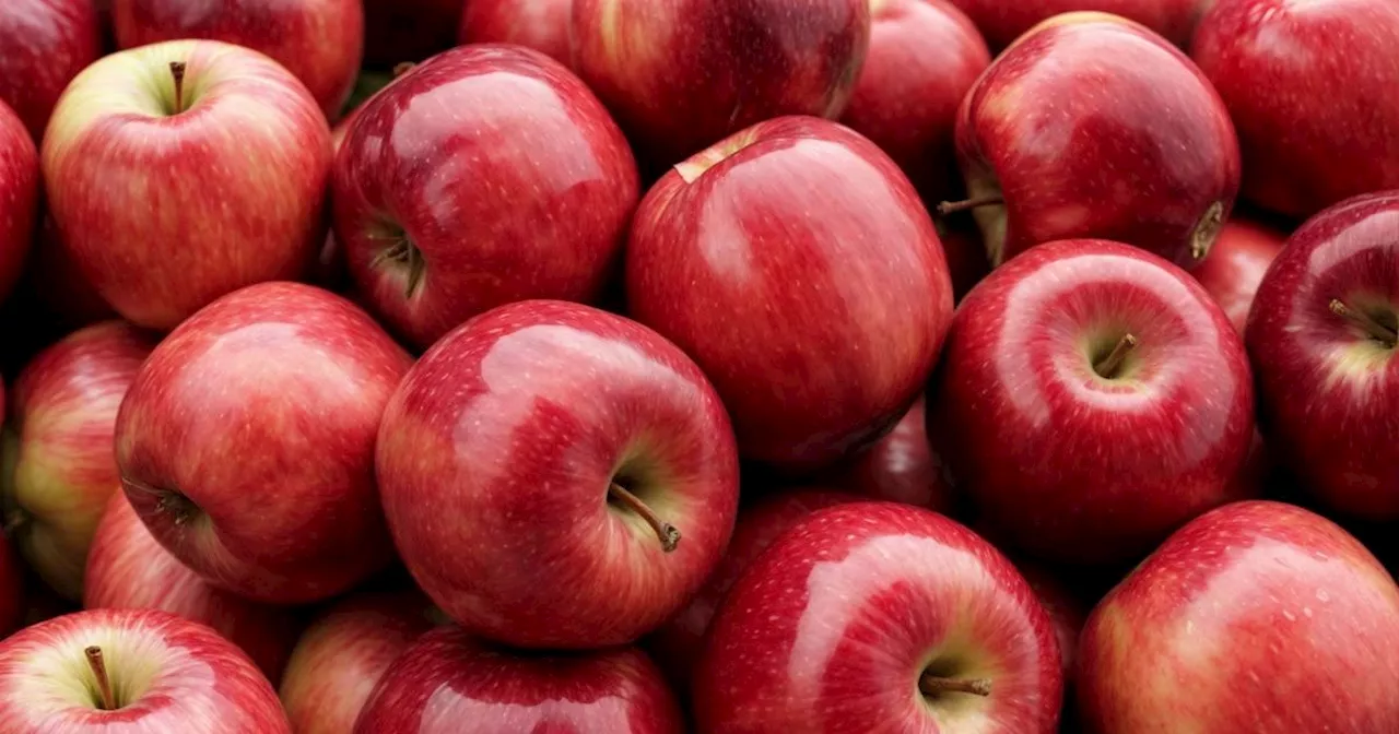 Extend the shelf life of apples with easy food storage method