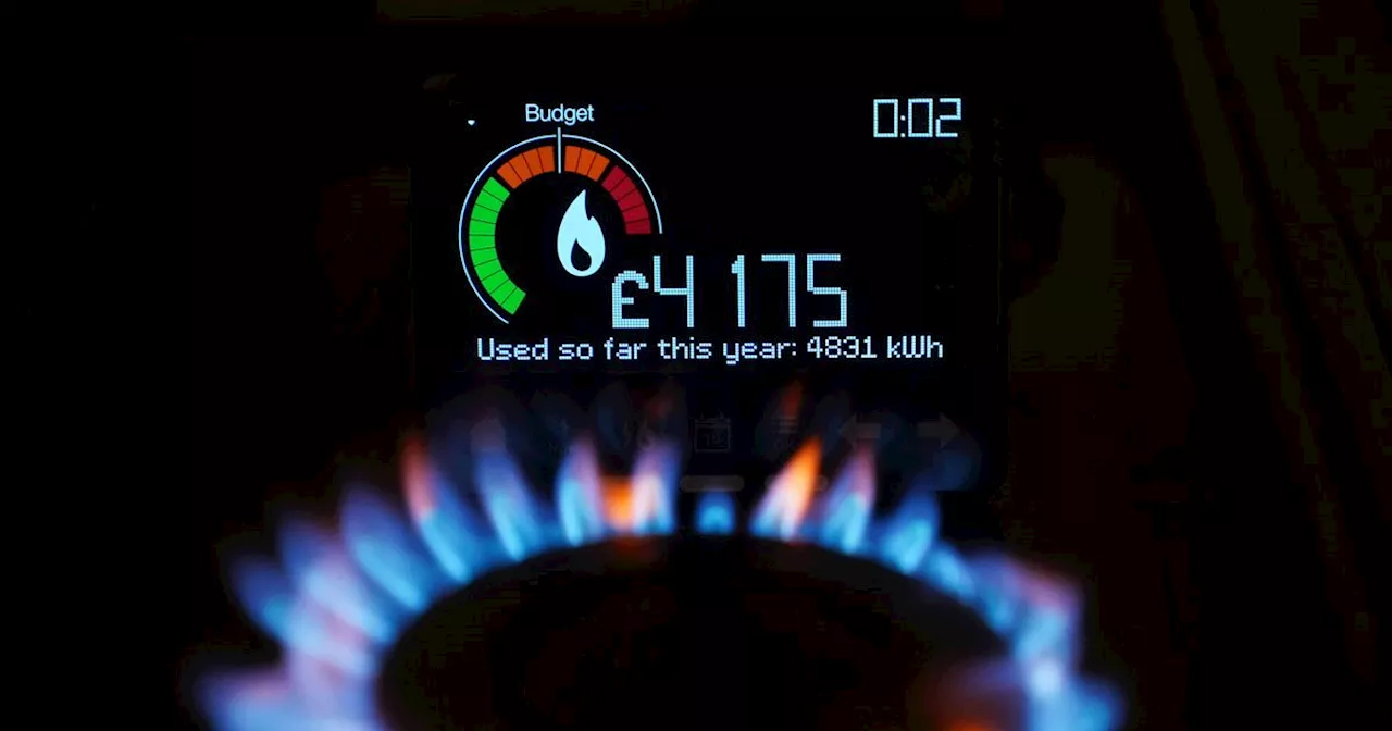 Which? reveals the best and worst household energy suppliers for sustainability