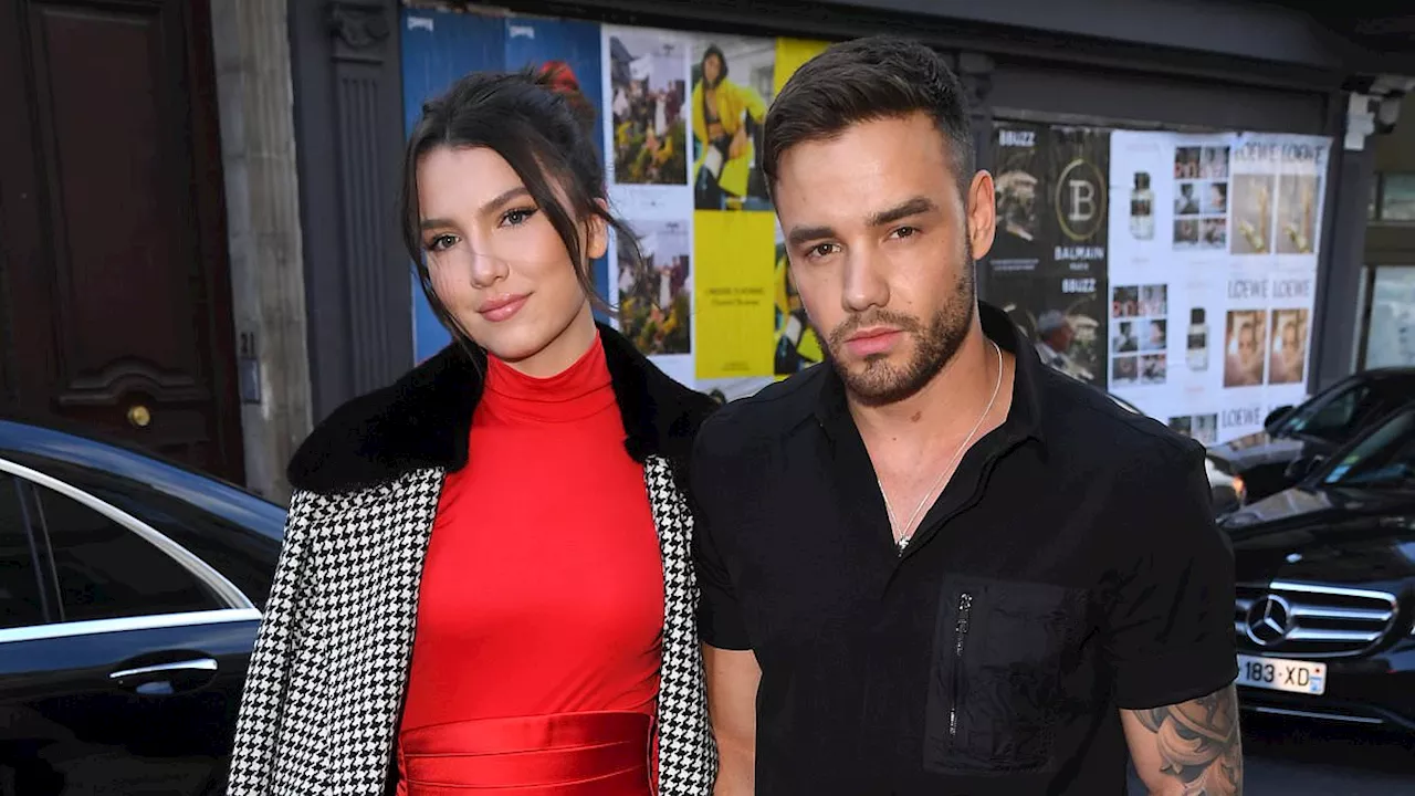 Liam Payne's ex Maya Henry's novel features sad popstar balcony scene