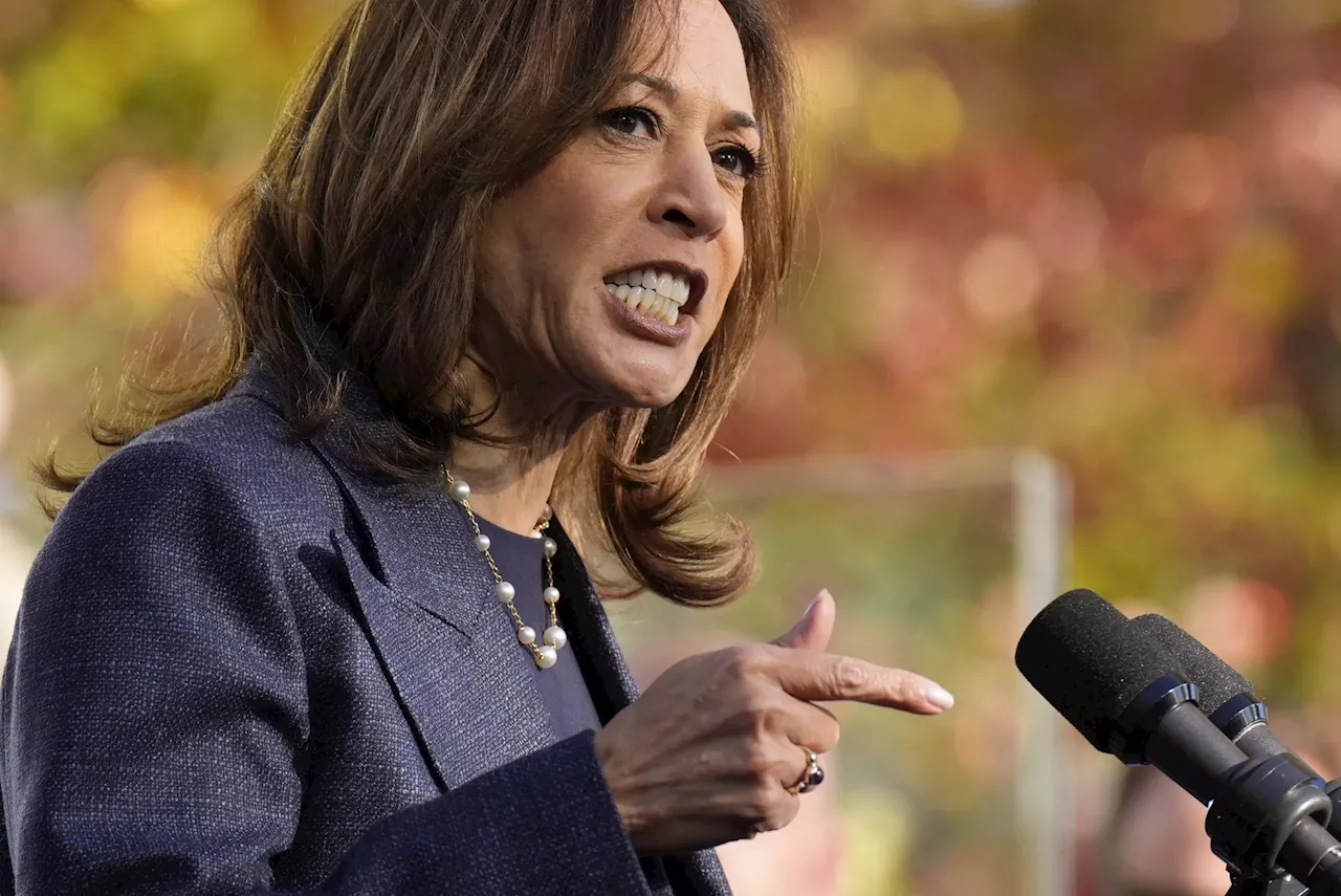 Election win odds sour further on Harris after Fox interview