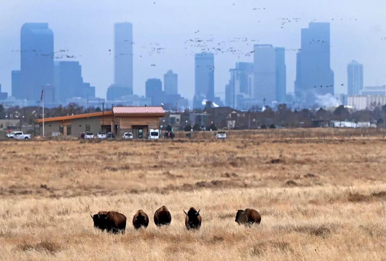 A Northglenn man registered 15,000 businesses in 2022, putting Colorado’s economic growth into question