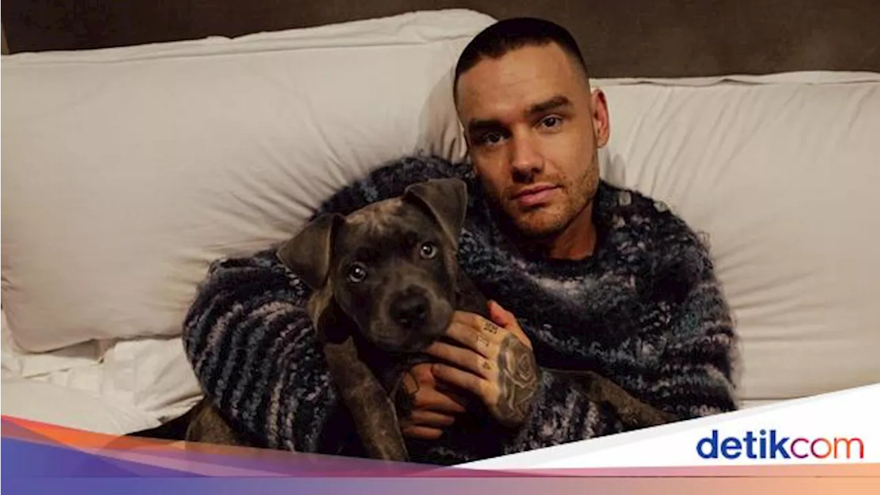 Pesan Terakhir Liam Payne ke Mantan: Aku Akan Mati