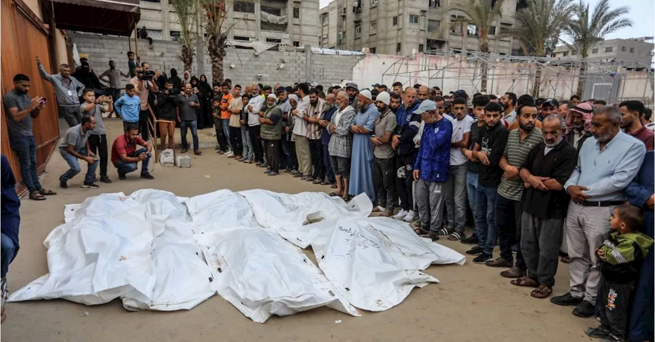 Otra tragedia: perros se estarían comiendo a los muertos en las calles de la Franja de Gaza