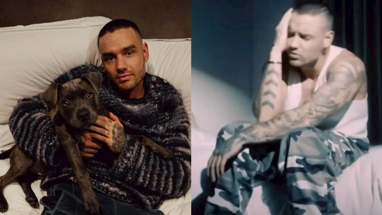 Liam Payne, exintegrante de One Direction, confesó que tenía problemas de alcoholismo y fue internado durante varios meses