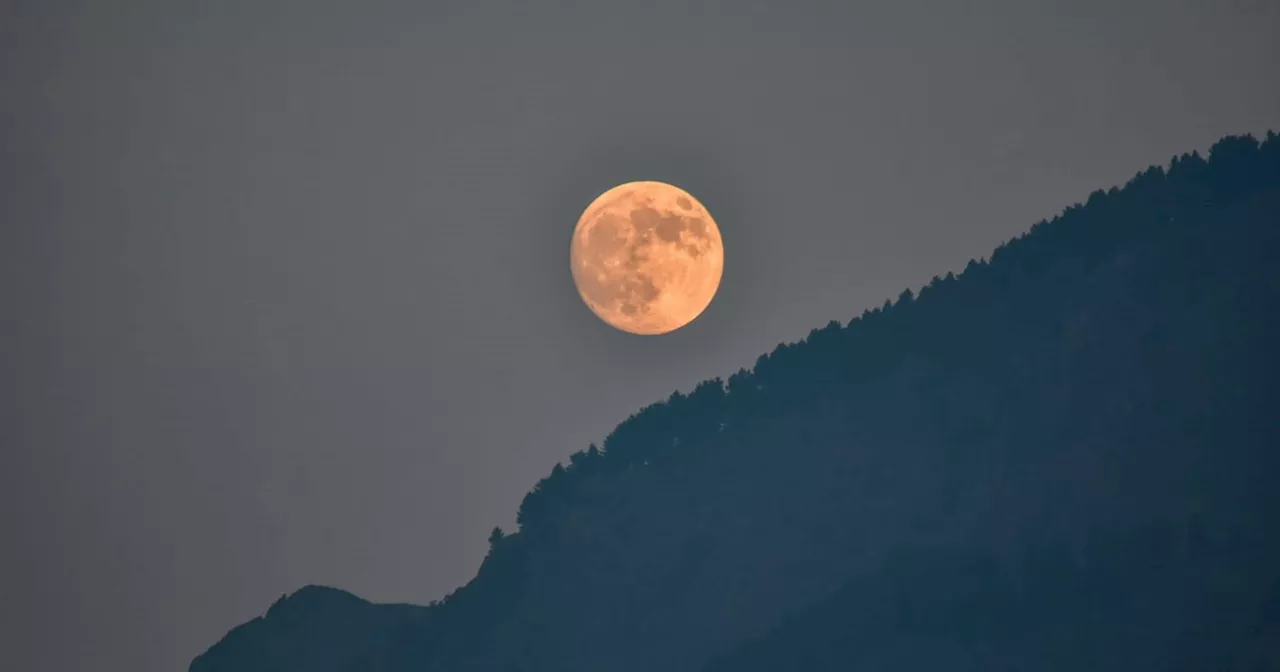 Fakten, Mythen, Beobachtungstipps: Das steckt hinterm Supermond am 17.10.