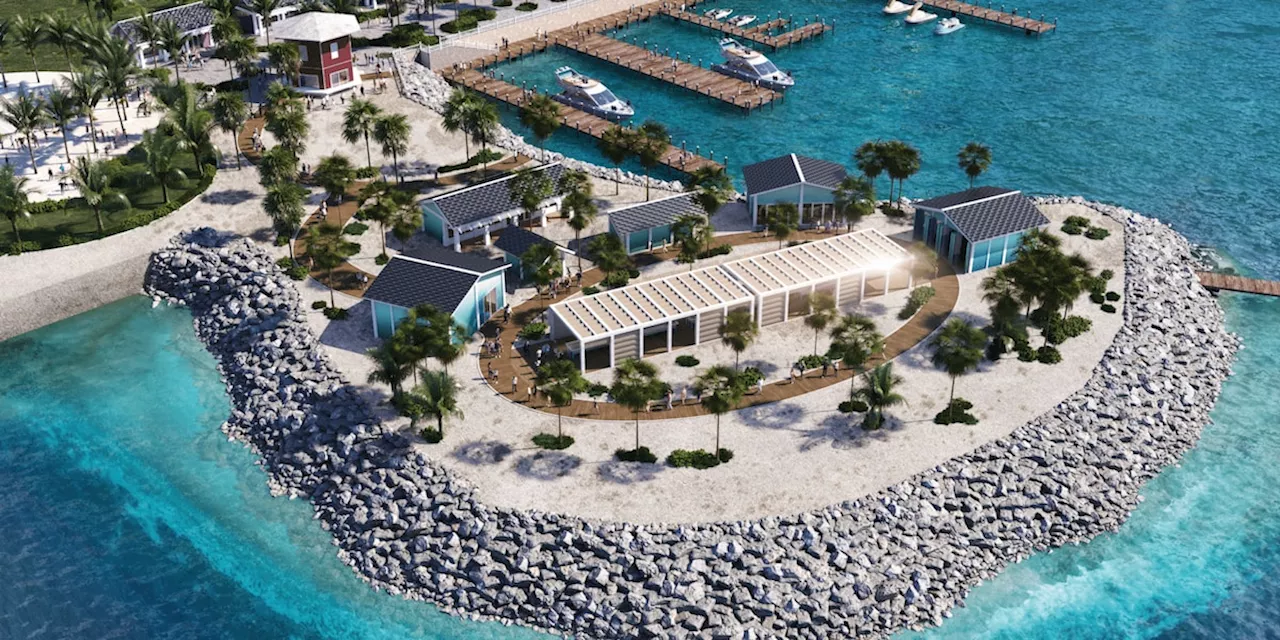 Reisen: MSC Foundation: Roadmap 2030 für Korallenschutz auf den Bahamas