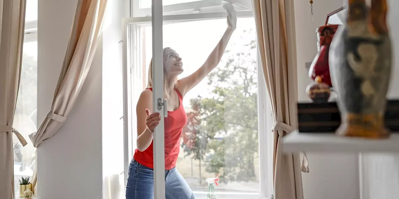 Shampoo als günstiger Glasreiniger