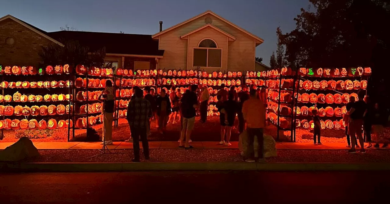 Pumpkins, pumpkins, and more pumpkins! Farmington man carves more than 400 jack-o-lanterns for Halloween