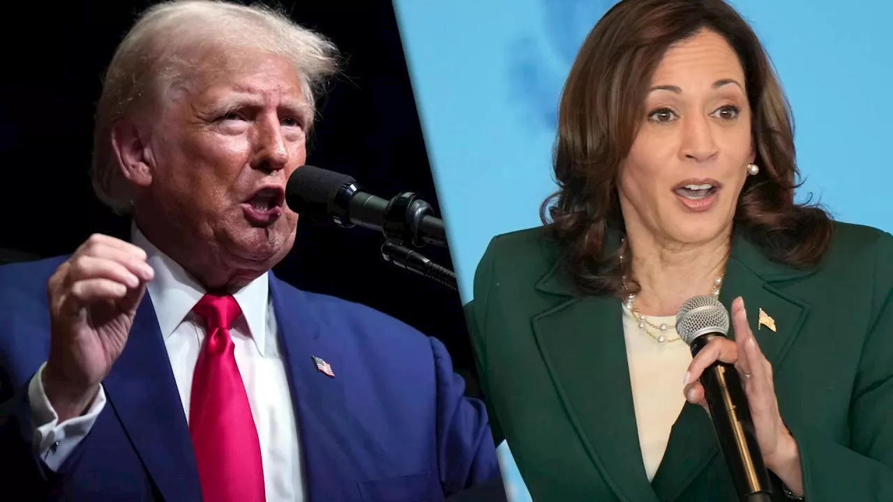 Harris and Trump Remain in Heated Race Ahead of November Election