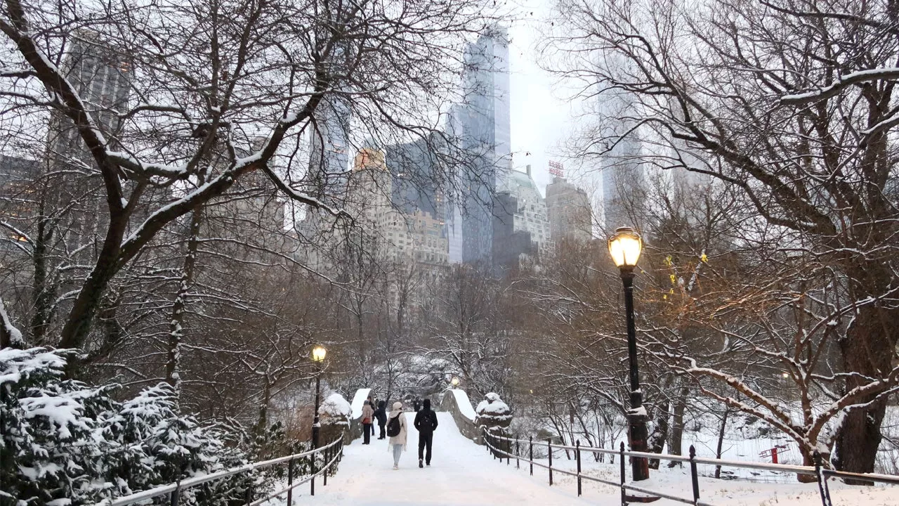 A La Niña winter is expected: Here's what it means for NYC's snow outlook