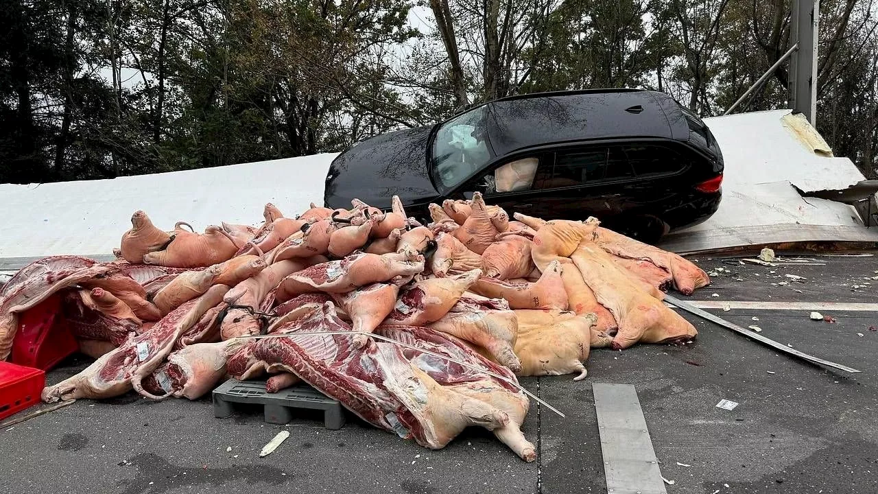 Feuerwehr im Großeinsatz - Crash auf A10 – tonnenweise Fleisch auf Fahrbahn