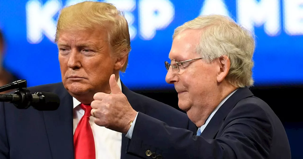 Mitch McConnell Trashed Donald Trump In Private After 2020 Election, New Book Says