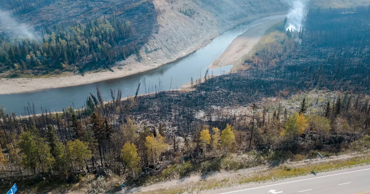 Global carbon emissions from forest fires have increased 60% in past 20 years, study finds