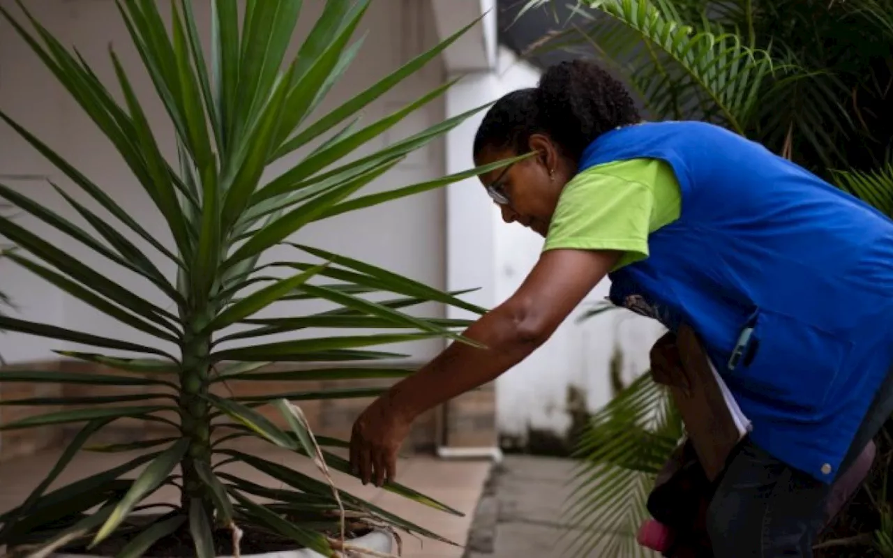 Vigilância Ambiental de Volta Redonda reforça prevenção contra o Aedes aegypti