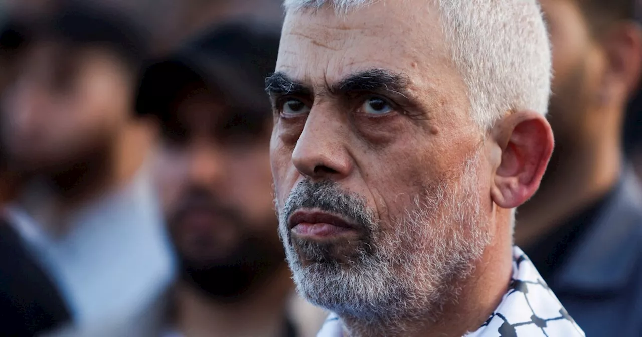 Israel is investigating whether it killed Hamas leader Yahya Sinwar in Gaza