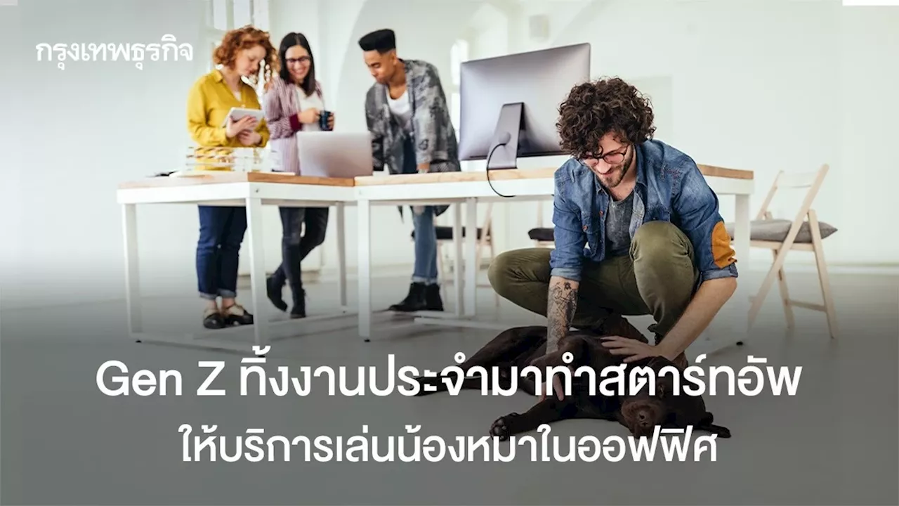 อาชีพใหม่ Gen Z ลาออกงานประจำ มาทำสตาร์ทอัพให้บริการ ‘น้องหมาบำบัดในออฟฟิศ’