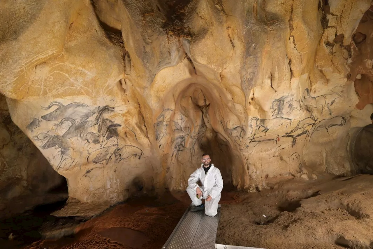 Archéologie : dans la grotte Chauvet, la science en marche