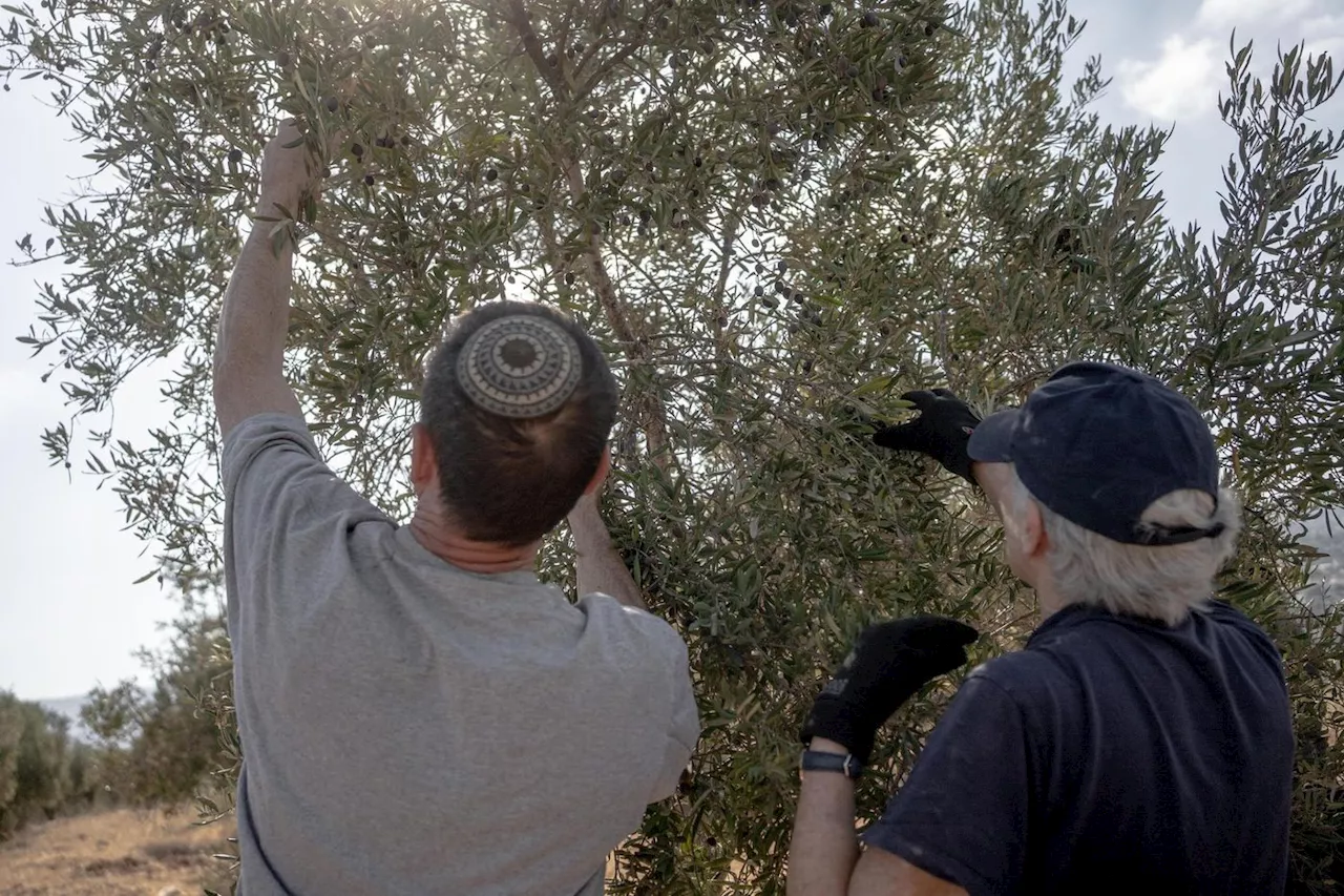 Guerre au Proche-Orient : « Être juif ou être arabe ne signifie pas être ennemis »