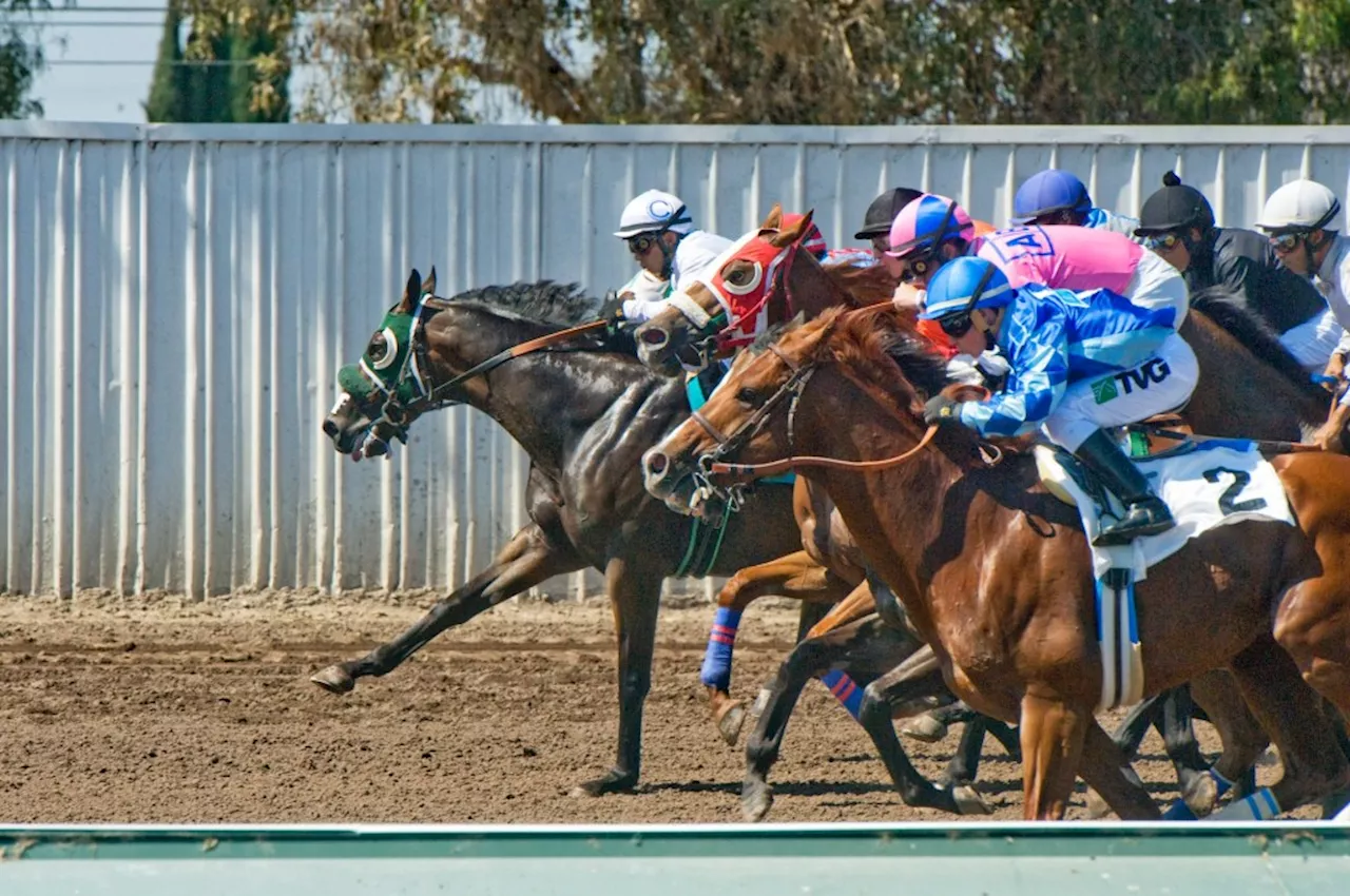 5 more horses euthanized at Los Alamitos due to infectious disease, bringing total to 12