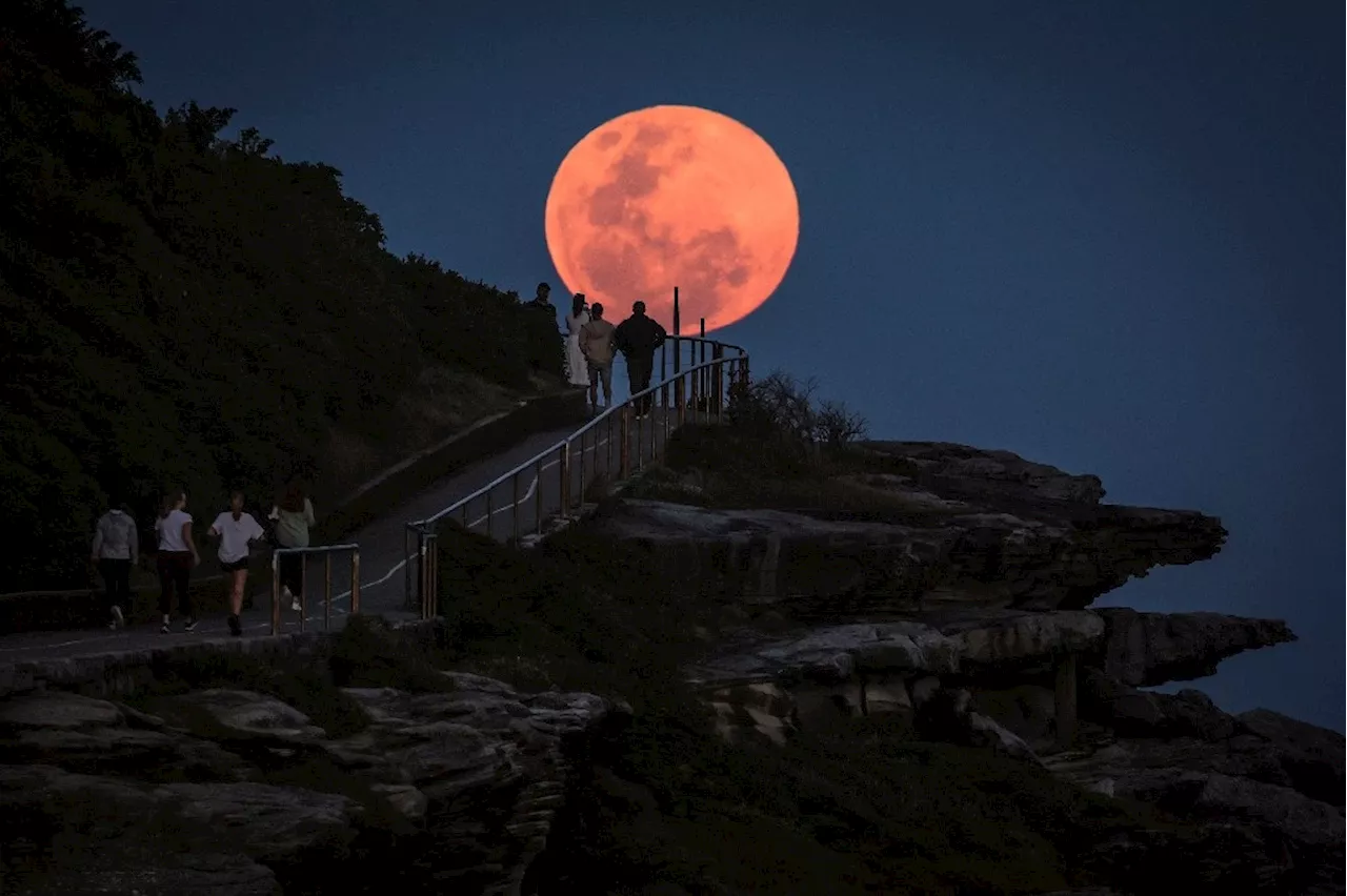 Con todo su esplendor, la última superluna del 2024 iluminó el cielo