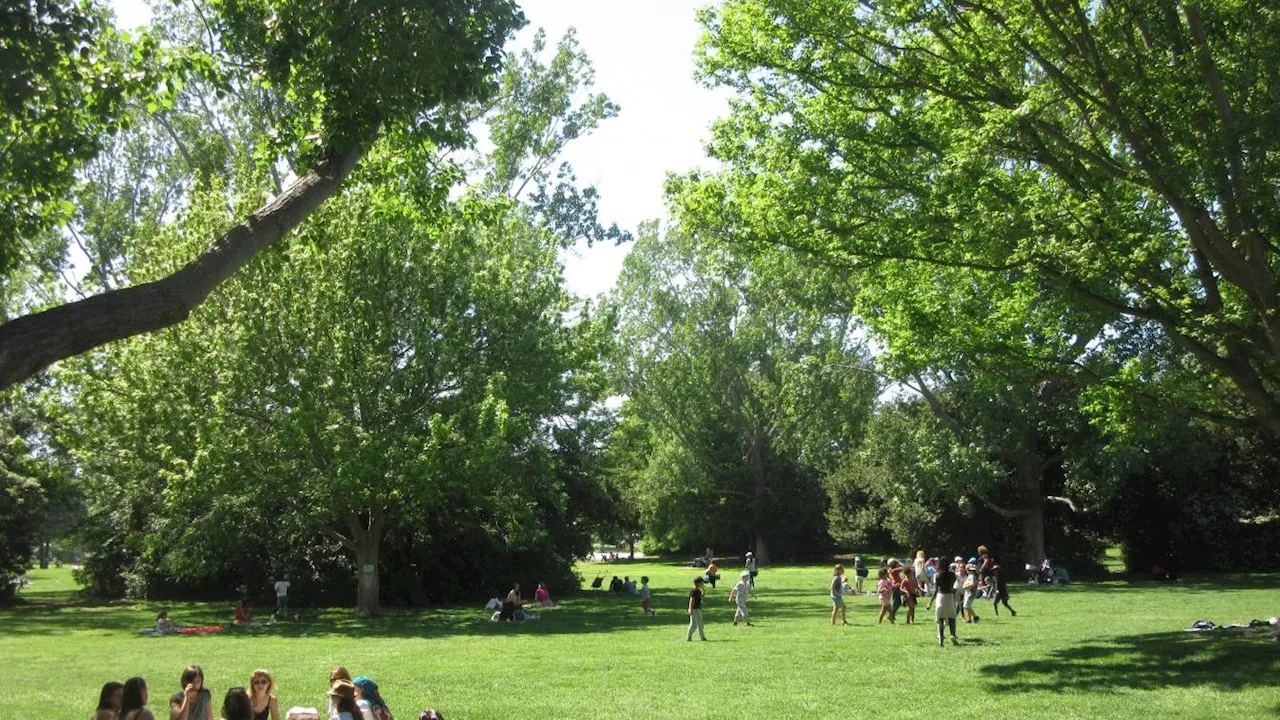 Marseille : l’ensemble des parcs et jardins fermés dès 16h30 ce jeudi en raison de violentes rafales annoncées