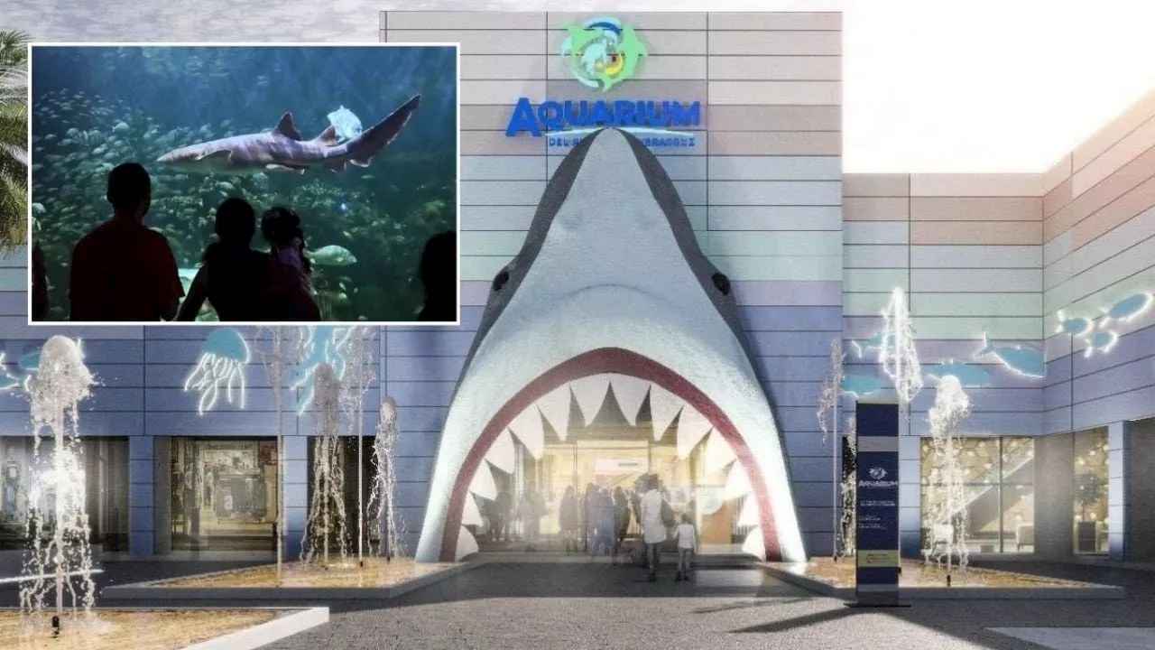 Nuevo Aquarium de Veracruz con delfines será inaugurado este día