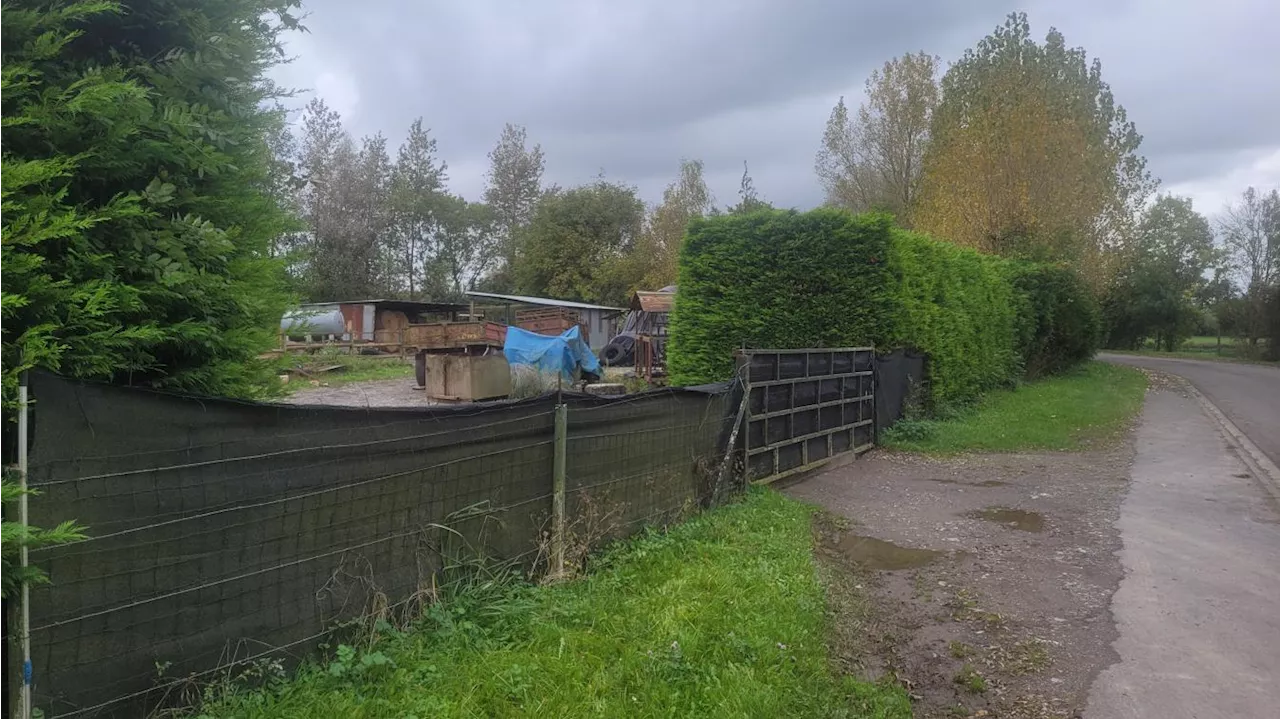 Quatorze vaches saisies dans un élevage condamné pour maltraitances à Pont-sur-Sambre