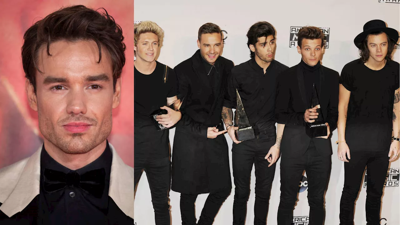 Liam Payne's One Direction bandmates left 'devastated' as Louis Tomlinson and Zayn Malik give separate...