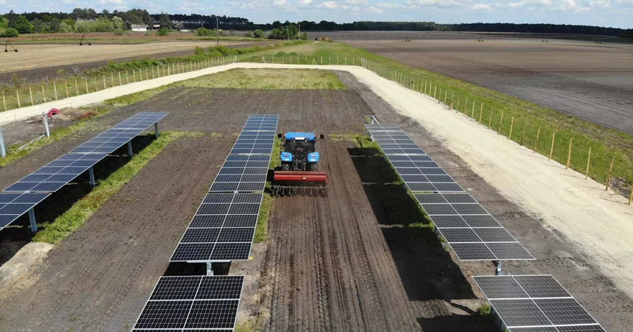 Les panneaux solaires au secours des petites exploitations agricoles